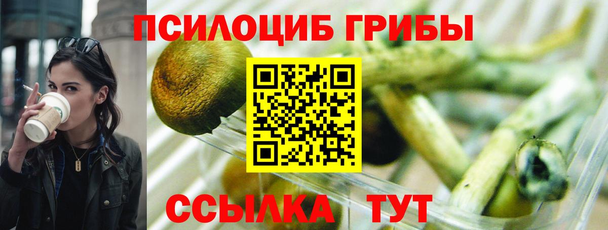 Галлюциногенные грибы Cubensis  Галлюциногенные грибы MAGIC MUSHROOMS  Вход с VPN  Заринск 